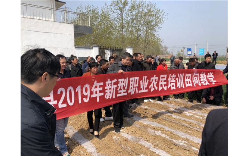 山東臨沭東泰機械助力江蘇省泗洪縣2019年花生產(chǎn)業(yè)發(fā)展！